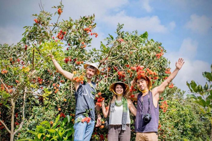 3D2N – MEKONG DELTA: FLOATING MARKETS & LOCAL CULTURE