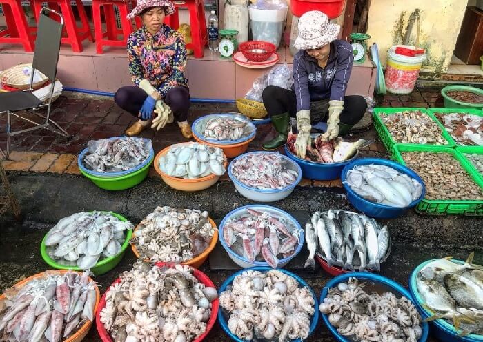 cho-ganh-dau-phu-quoc-6